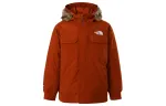 THE NORTH FACE McMurdo Down Jackets & Coats Men's Brown