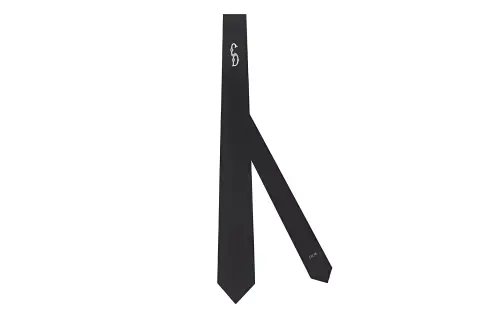DIOR Ties Unisex
