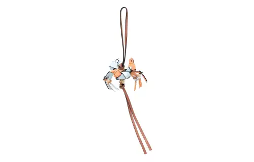 LOEWE Charms Women's Orange