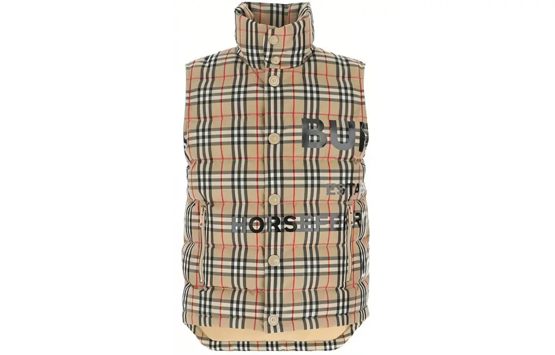 Burberry Down Jacket Men's Brown