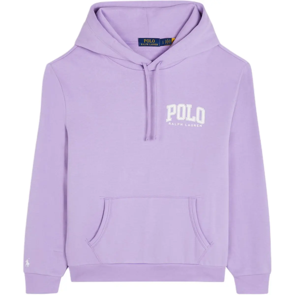 Polo Ralph Lauren Logo print Hoodie