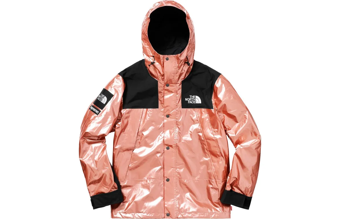 Supreme x The North Face metallic mountain jacket