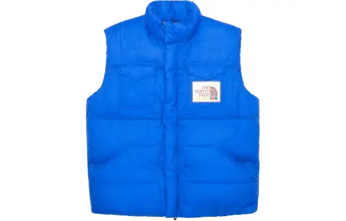 GUCCI X The North Face Down Vest FW21