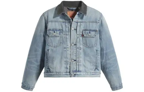 Stussy X Levi's Embossed Praglad Trucker Jacket