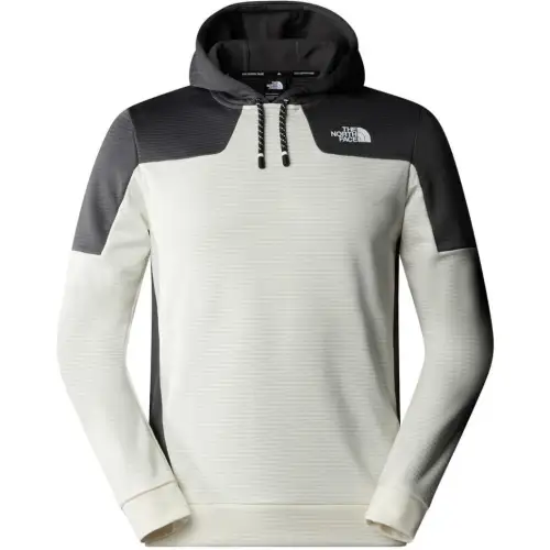 THE NORTH FACE Sweatshirt Men's Gray
