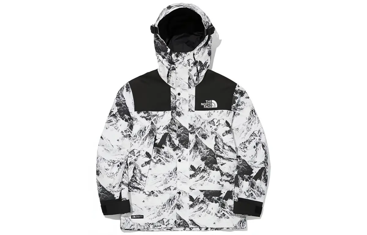 THE NORTH FACE Novelty Gtx Mountain Jacket S Nutral Gray Unisex Korea Version