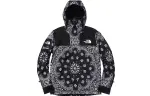 Supreme The North Face Bandana Mountain Jacket