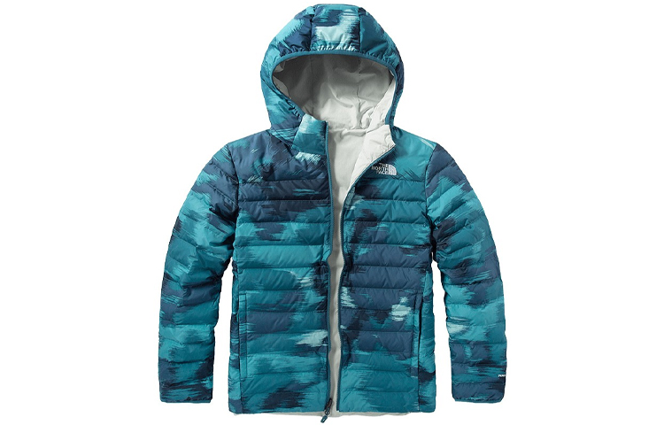 Мужская куртка The North Face 700 (синяя)
