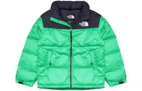 THE NORTH FACE 1996 Collection Down Jacket Men's Green