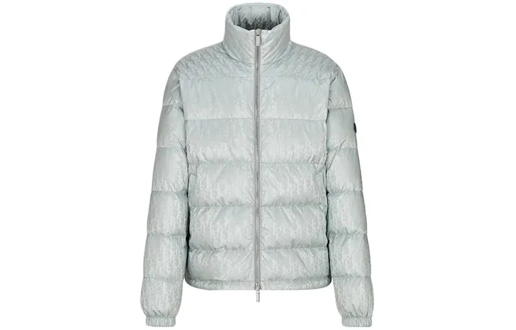 DIOR FW20 Down Jacket Winter Men's Gray