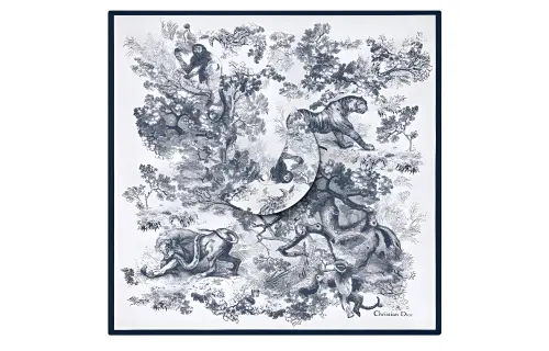 DIOR Scarves Women's Multicolor
