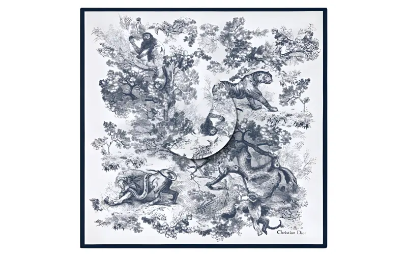 DIOR Scarves Women's Multicolor