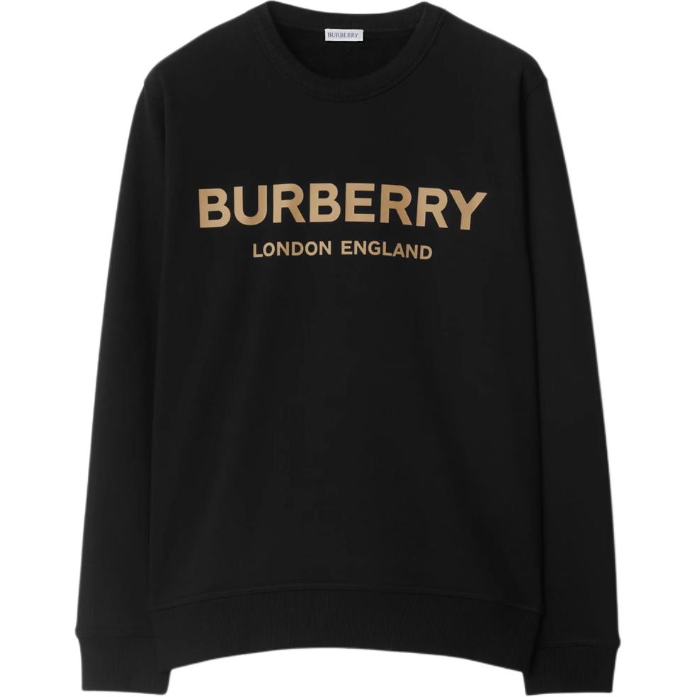 Мужское худи Burberry Logo Sweatshirt (черное)
