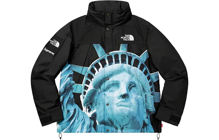 Supreme x The North Face Statue Of Liberty jacket