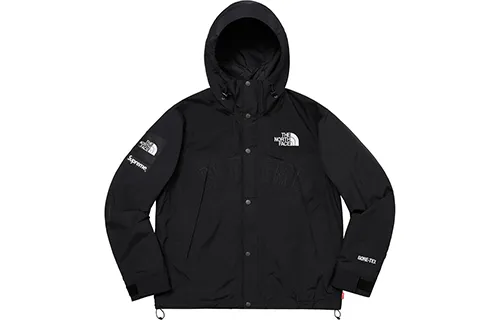 Supreme X The North Face Arc Logo Mountain Parka