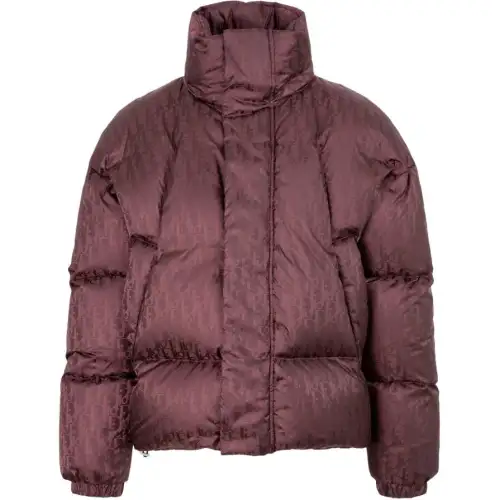 DIOR Quarterly New Products Down Jackets Men's Burgundy Hooded Moderate Other