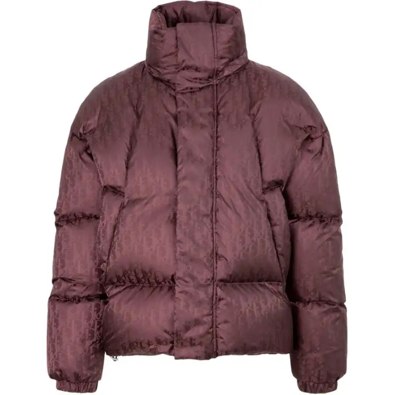 DIOR Quarterly New Products Down Jackets Men's Burgundy Hooded Moderate Other