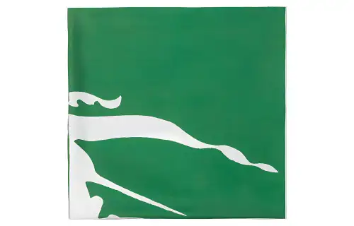 【Previous Season】EKD-print two-tone scarf