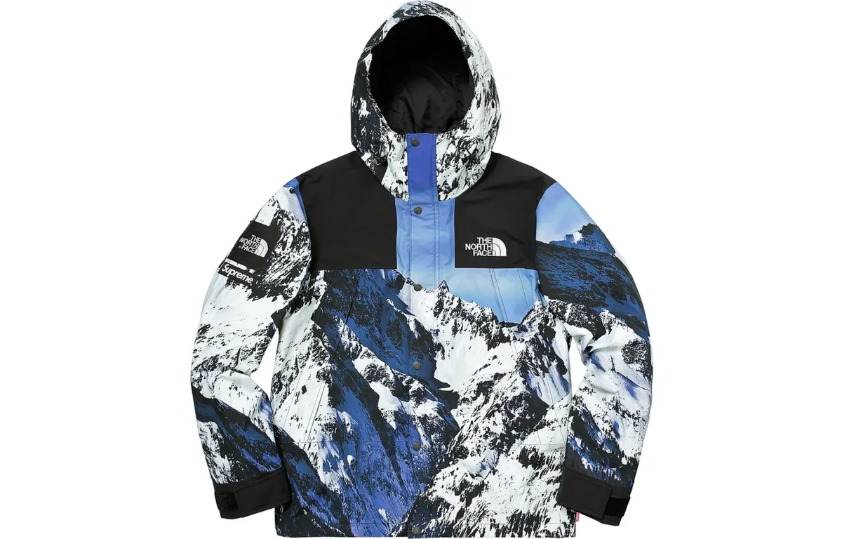 Supreme The North Face Mountain Parka