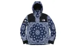 Supreme The North Face Bandana Mountain Jacket