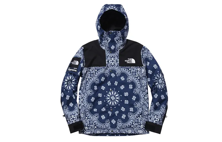 Supreme The North Face Bandana Mountain Jacket