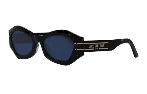 DIOR Sunglasses Unisex Brown