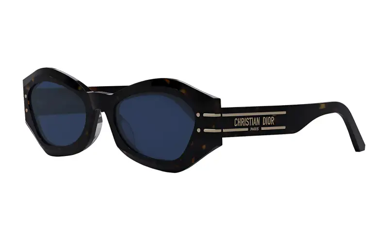 DIOR Sunglasses Unisex Brown