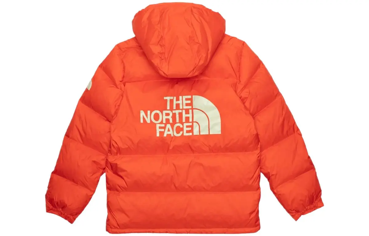 THE NORTH FACE Mens Color Block Sierra Parka