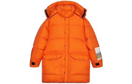 GUCCI X The North Face Down Jacket