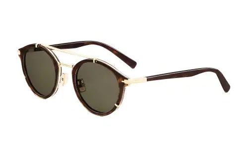 DIOR Biological Acetate Fiber Oval Sunglasses Men's Brown