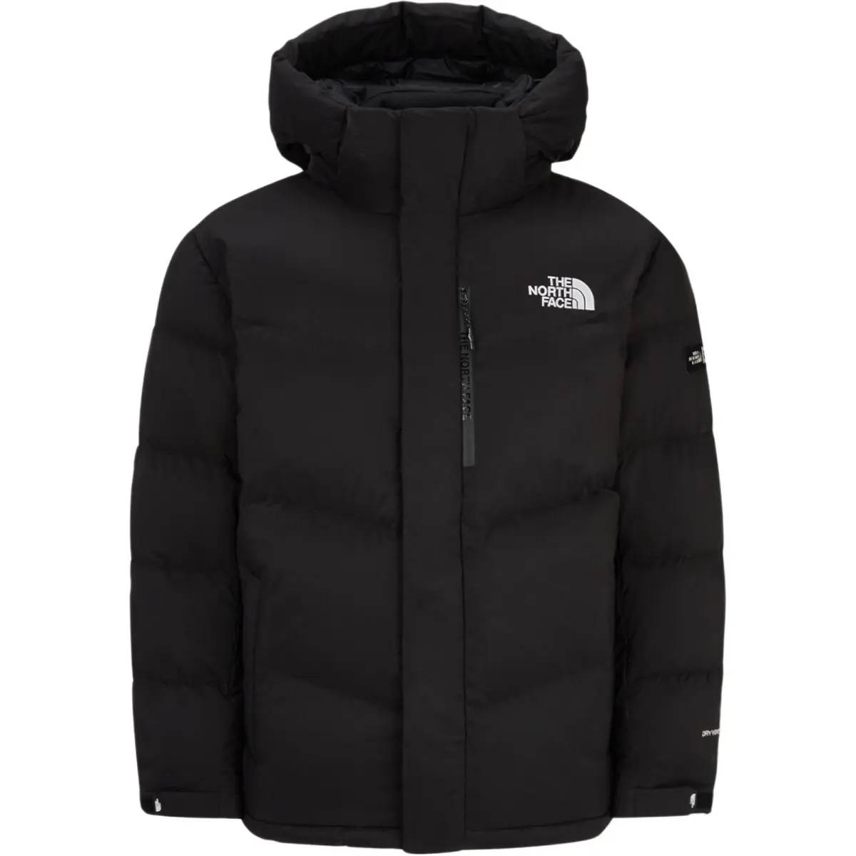 THE NORTH FACE Down Jacket Men's Black