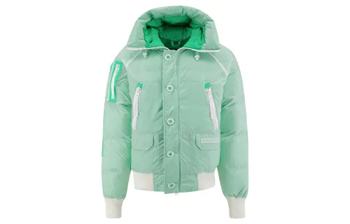 Canada Goose Chilliwack Collection FW21 Down Jacket Winter Men's Light Green