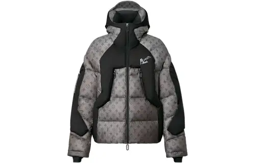 LOUIS VUITTON Down Jacket Winter Men's Gray