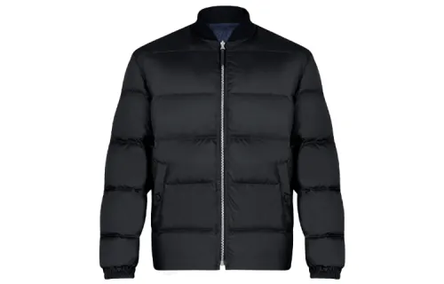 LOUIS VUITTON Down Jacket Men's Black
