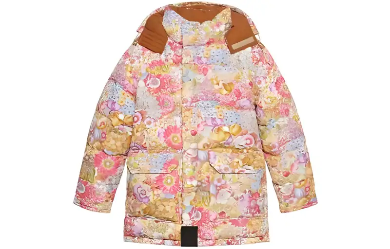 GUCCI x THE NORTH FACE FW21 Down Jacket Unisex Multicolor