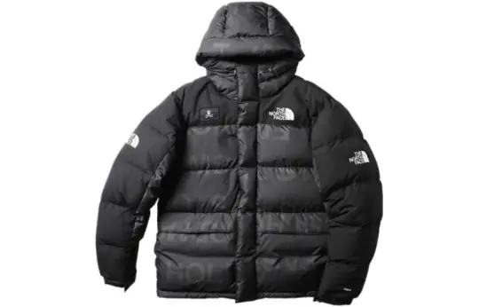 THE NORTH FACE Urban Exploration Down Jacket Men's Black