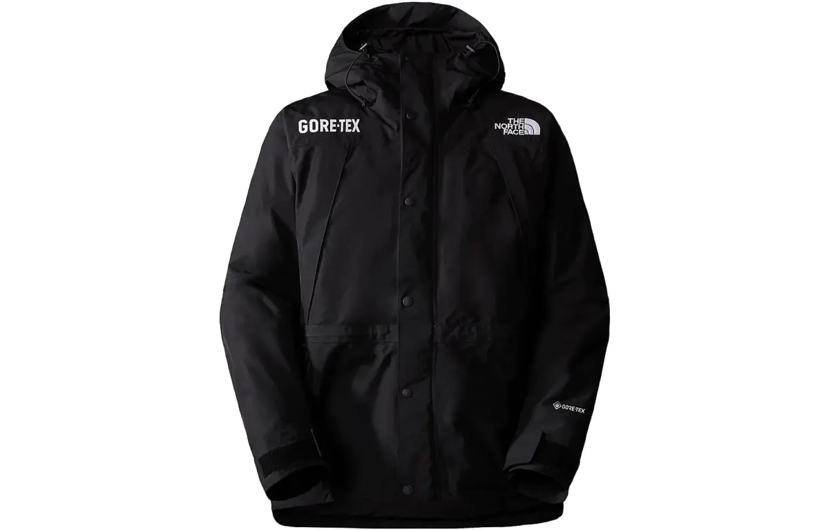 THE NORTH FACE Gtx Mountain Guide Insulated Parka