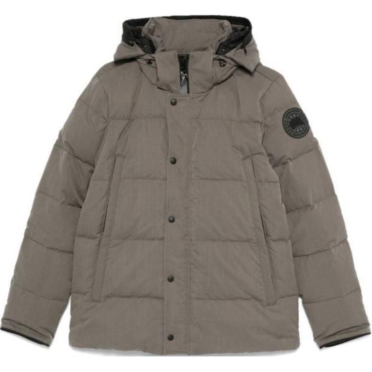 Куртка Canada Canada Goose (серая)
