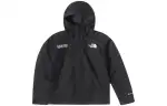 THE NORTH FACE Gore Tex Mountain Jacket