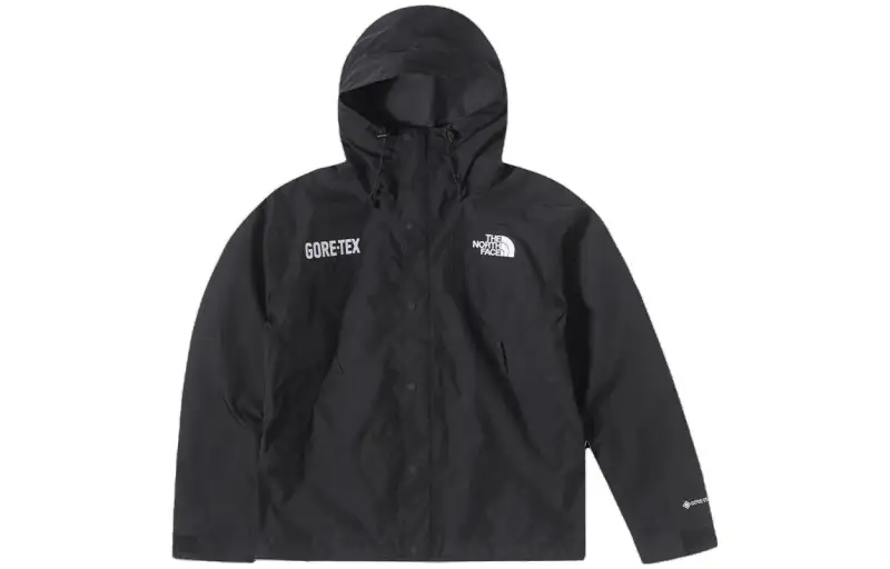 THE NORTH FACE Gore Tex Mountain Jacket