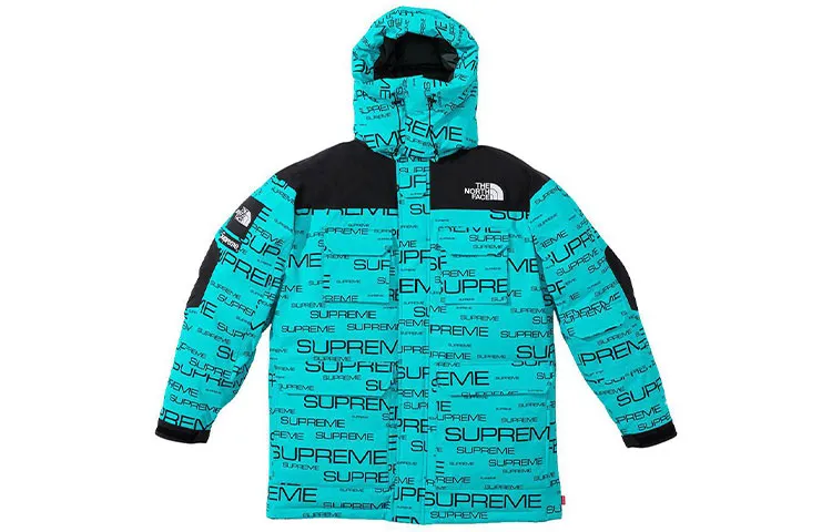 Supreme x THE NORTH FACE FW21TNF Down Jacket Unisex