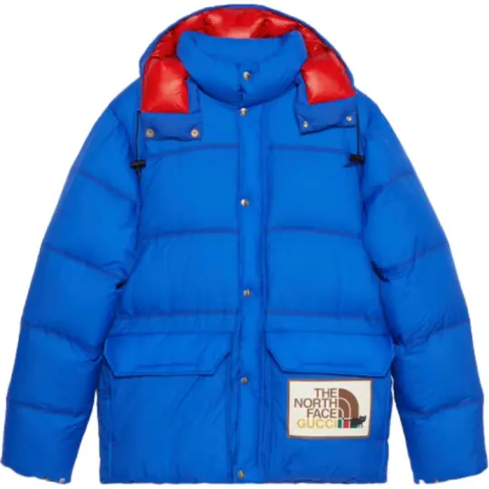 GUCCI X The North Face Down Jacket