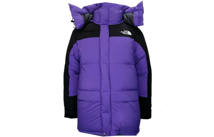 THE NORTH FACE 1994 Down Jacket Men's Purple