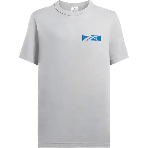 Reebok T Shirt Men's Medium Gray Heather
