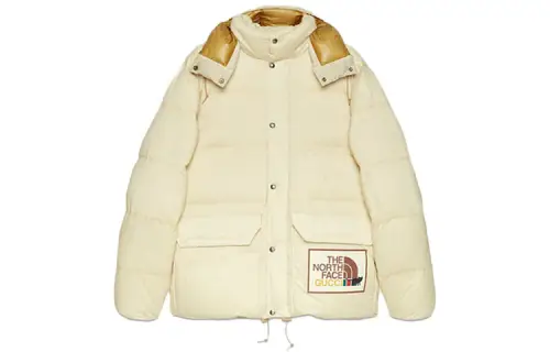 GUCCI X The North Face Down Jacket