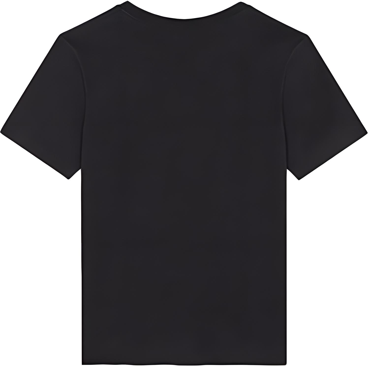 Мужская футболка SAINT LAURENT T (черная) — фото 2