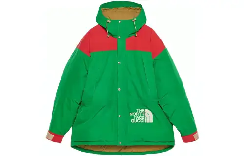 GUCCI X The North Face Down Jacket
