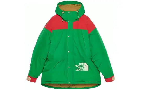 GUCCI X The North Face Down Jacket