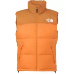 THE NORTH FACE Vest Men's Iron Citrus