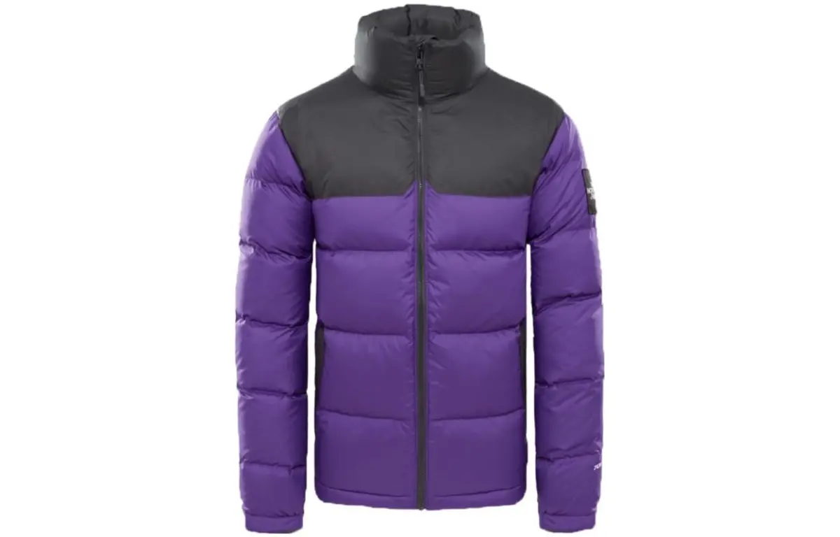 THE NORTH FACE 1992 Collection Down Jacket Men's Purple
